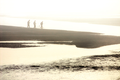 La pêche à pied et pêche à la ligne en baie de Somme, photographie