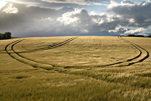 Photographie de graphisme agricole Somme